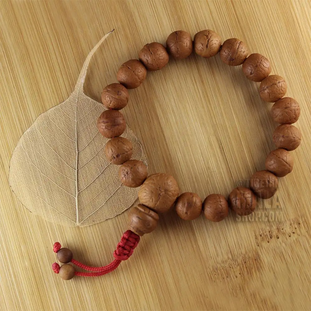 Lotus Carved Raw Bodhi Seed Bracelet – Nature's Treasures